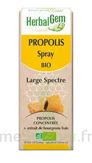 Herbalgem Propolis Large Spectre Solution Buvable Bio Spray/15ml à Veauche